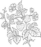 FLM054B.TIF