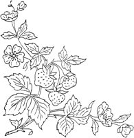 FLM054A.TIF