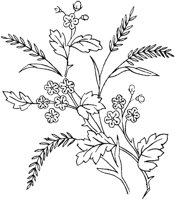 FLM053E.TIF