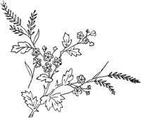 FLM053D.TIF