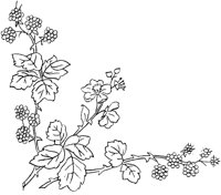 FLM053A.TIF