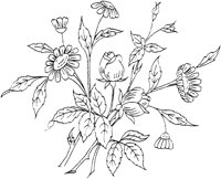 FLM052F.TIF