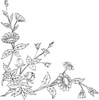 FLM052E.TIF