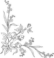 FLM051D.TIF