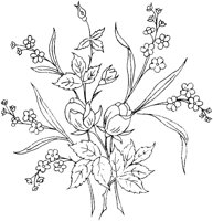 FLM051C.TIF