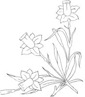 FLM051B.TIF