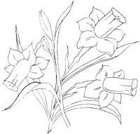 FLM051A.TIF