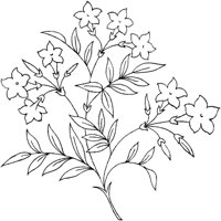 FLM050A.TIF
