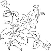FLM049C.TIF