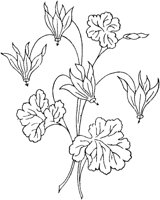 FLM049A.TIF