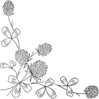 FLM048D.TIF
