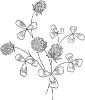 FLM048C.TIF