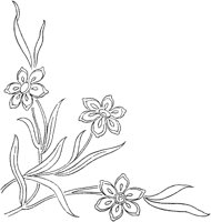 FLM047D.TIF