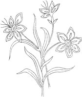 FLM047C.TIF