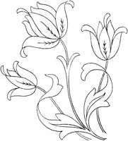 FLM047B.TIF