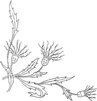 FLM046D.TIF