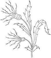 FLM046C.TIF