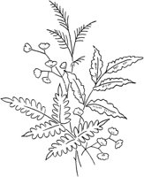 FLM046B.TIF