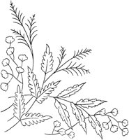 FLM046A.TIF