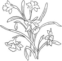 FLM045A.TIF