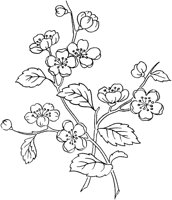 FLM044B.TIF