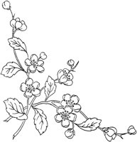 FLM044A.TIF
