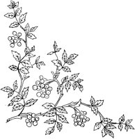 FLM042D.TIF