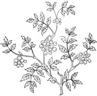 FLM042C.TIF
