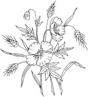 FLM042B.TIF
