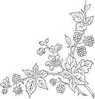 FLM041D.TIF