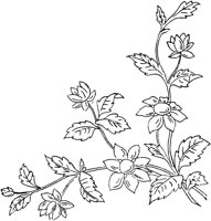 FLM041B.TIF