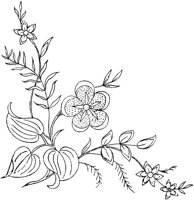 FLM040C.TIF