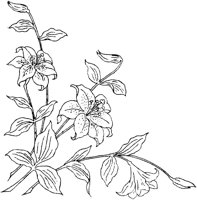 FLM040A.TIF