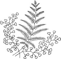 FLM039C.TIF