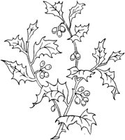 FLM038D.TIF