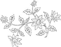 FLM038A.TIF