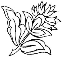 FLM037C.TIF