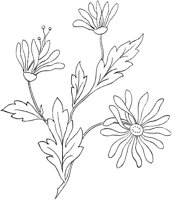 FLM036C.TIF