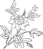 FLM036B.TIF