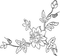FLM036A.TIF