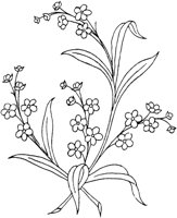 FLM035A.TIF