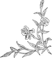 FLM034B.TIF
