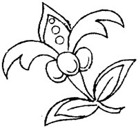 FLM033F.TIF