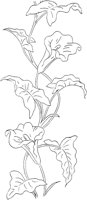 FLM030A.TIF