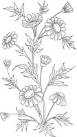FLM023B.TIF