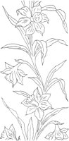 FLM022C.TIF