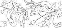 FLM022A.TIF
