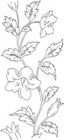 FLM021B.TIF