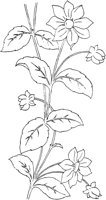 FLM020B.TIF