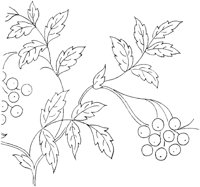 FLM019F.TIF